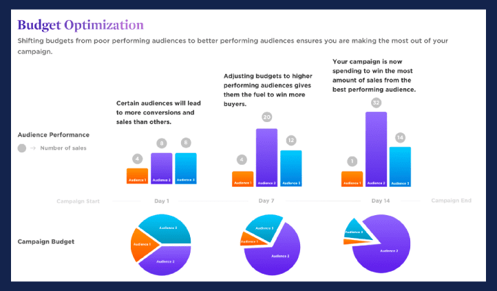 facebook-ad-budget optimization