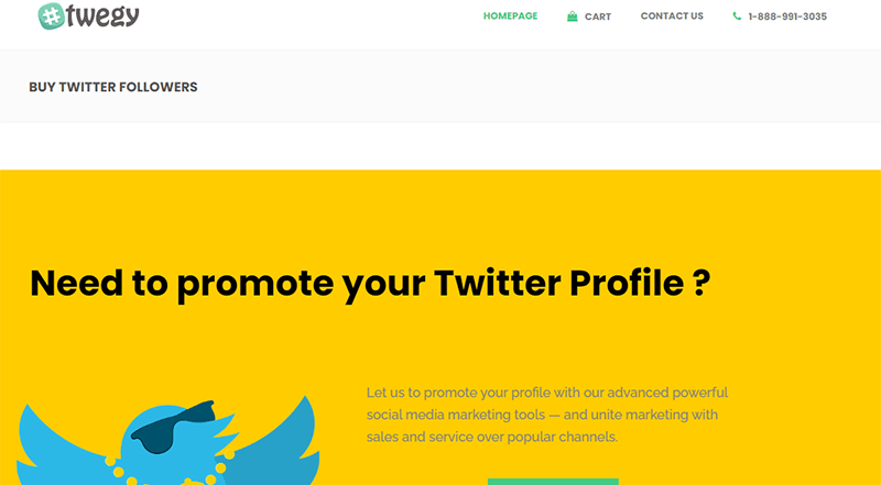 Twegy Buy Cheap Twitter Followers